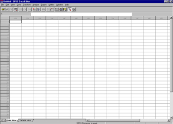 Screen shot of empty Data View prior to data entry 